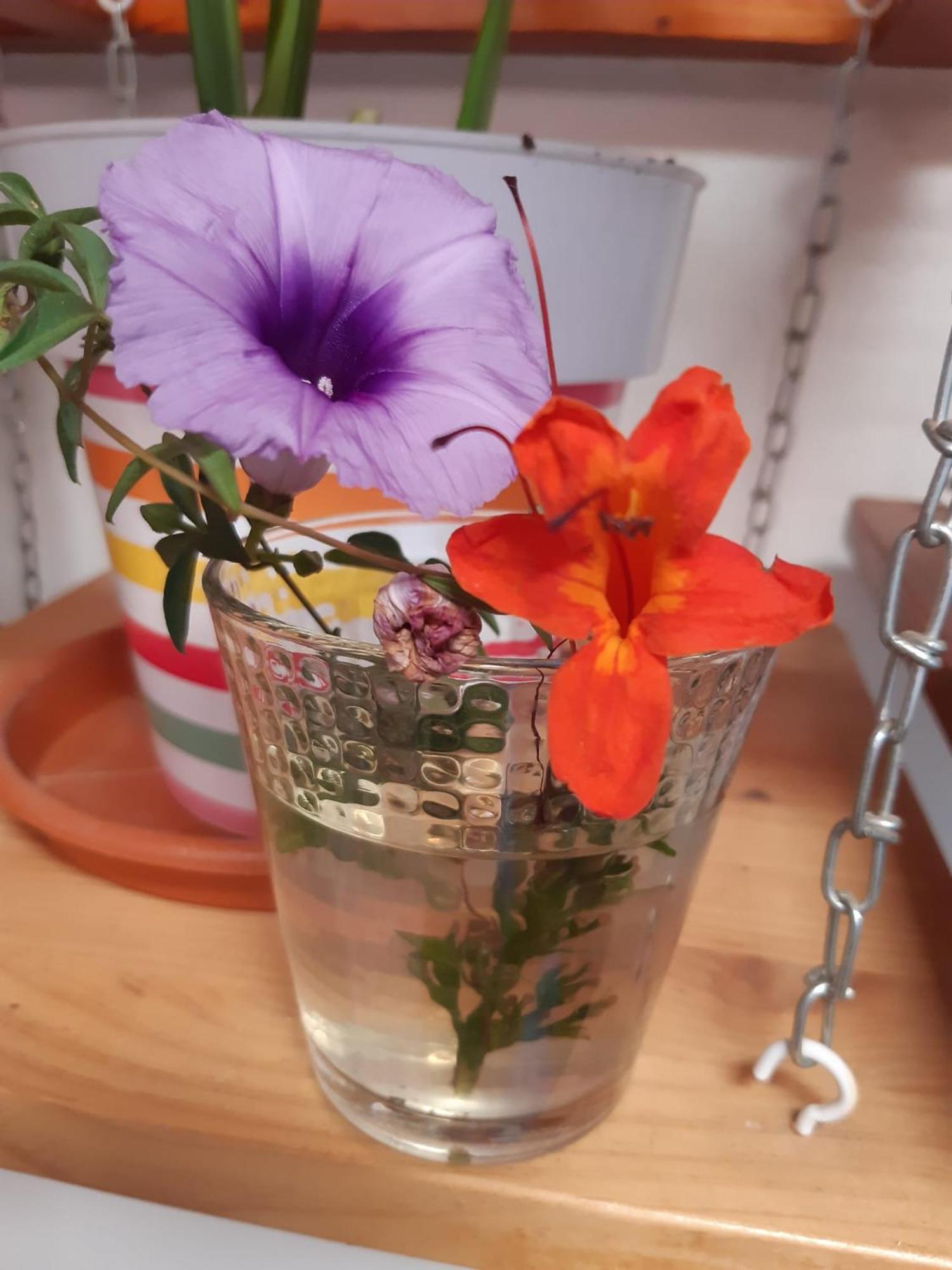 Habitaciones Gioly 푸에르토델로사리오 외부 사진